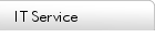 IT Service